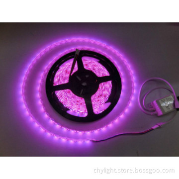 Brightness Waterproof Flexible 12V SMD5050 LED Strip